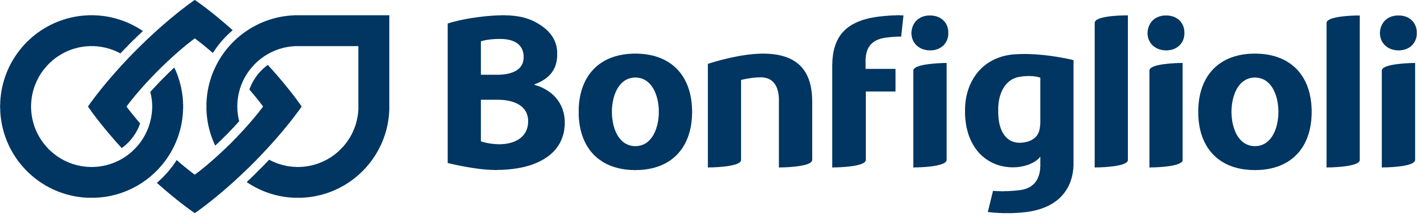 logo bonfiglioli